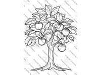 Product image #3