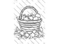 Product image #5