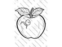Product image #4