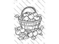 Product image #5