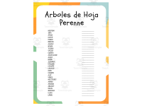 Árboles de Hoja Perenne: Sopa de Letras y Palabras Desordenadas preview