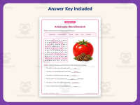Arkansas Word Search Worksheet – 3rd Grade States Practice preview 3
