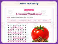 Arkansas Word Search Worksheet – 3rd Grade States Practice preview 7