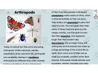Product image #5