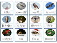 Product image #2