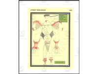Product image #0