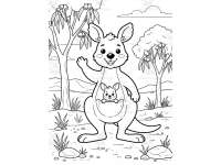 Australian Outback Animals Coloring Pages for Kids preview 4