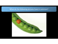 Product image #1