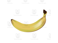 Product image #2