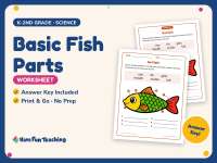 Basic Fish Parts Worksheet – K-2nd Grade Anatomy & Animals Practice preview