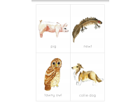 Product image #1