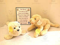 Product image #1