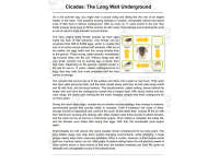 Product image #1