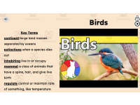 Product image #4