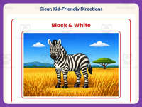 Black and White – Reading Comprehension Worksheet – 3rd Grade Practice preview 4