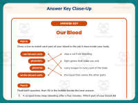 Blood Worksheet – 4th Grade Anatomy & Cells Practice + Answer Key preview 7
