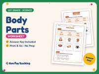 Body Parts Worksheet – 1st Grade Anatomy & Health and Nutrition preview