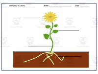 Product image #1
