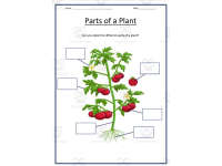 Product image #2