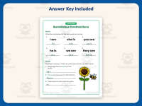 Bumblebee Is/Are Contractions Worksheet – 2nd Grade Grammar Practice preview 3