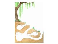 Product image #0