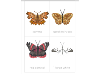 Product image #1