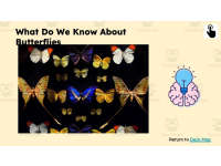 Product image #5