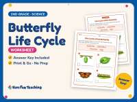 Butterfly Life Cycle Worksheet – 2nd Grade Insects Practice preview