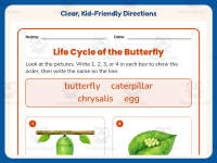 Butterfly Life Cycle Worksheet – 2nd Grade Insects Practice preview 4