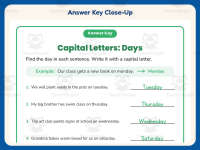 Capital Letters Days Sentences Worksheet – 2nd Grade Capitalization preview 7