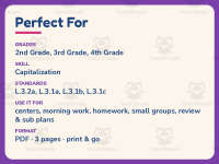 Capital Letters Writing Worksheet – 3rd Grade Capitalization Practice preview 6