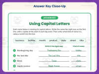 Capital Letters Writing Worksheet – 3rd Grade Capitalization Practice preview 7