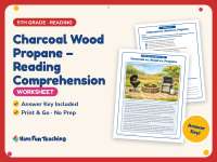 Charcoal Wood Propane – Reading Comprehension Worksheet – 5th Grade preview