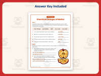 Chemical Changes Matter Worksheet – 5th Grade States of Matter preview 3