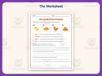 Chicken Life Cycle Worksheet – 3rd Grade Science Practice + Answer Key preview 2