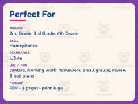 Choosing Homophones Worksheet – 3rd Grade Grammar Practice preview 6