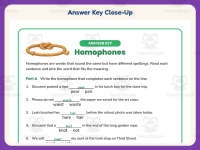 Choosing Homophones Worksheet – 3rd Grade Grammar Practice preview 7