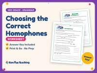 Choosing the Correct Homophones Worksheet – 3rd Grade Grammar Practice preview