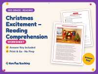 Christmas Excitement – Reading Comprehension Worksheet – 3rd Grade preview