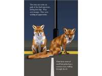 Product image #1