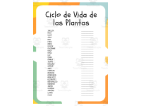 Ciclo de Vida de las Plantas: Sopa de Letras y Palabras Desordenadas preview 2