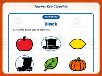 Circling Examples of Black Worksheet – Kindergarten Colors Practice preview 7