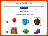 Circling Examples of Brown Worksheet – Kindergarten Colors Practice preview 7