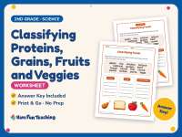 Classifying Proteins, Grains, Fruits and Veggies Worksheet – 2nd Grade preview