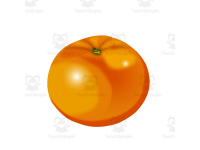 Product image #2