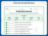 Collective Nouns Worksheet – 2nd Grade Plural Nouns Practice preview 4