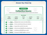 Collective Nouns Worksheet – 2nd Grade Plural Nouns Practice preview 7