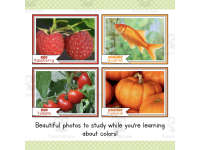 Product image #1