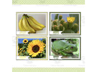 Product image #2