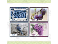 Product image #3